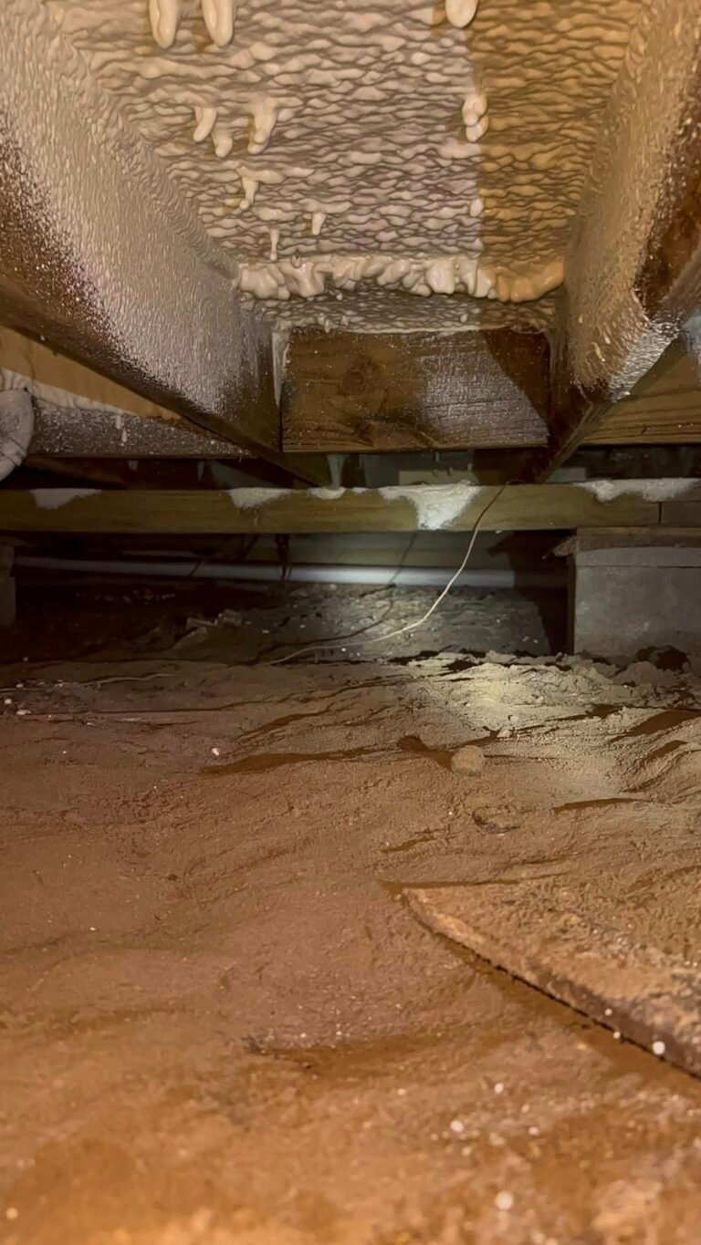 623841351_1399590004959843_3075927946122131205_n